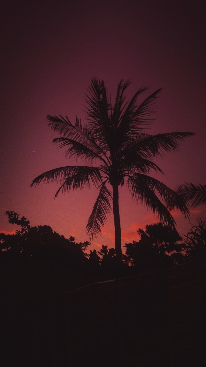 Paisagem