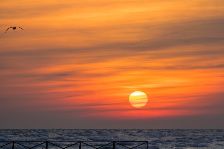 Egyptian Coast