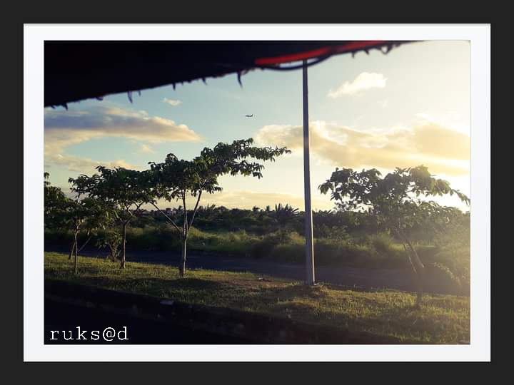 nature
