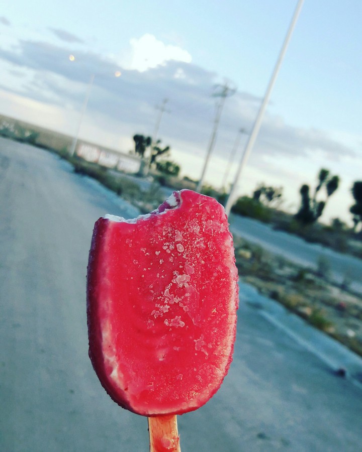 paleta