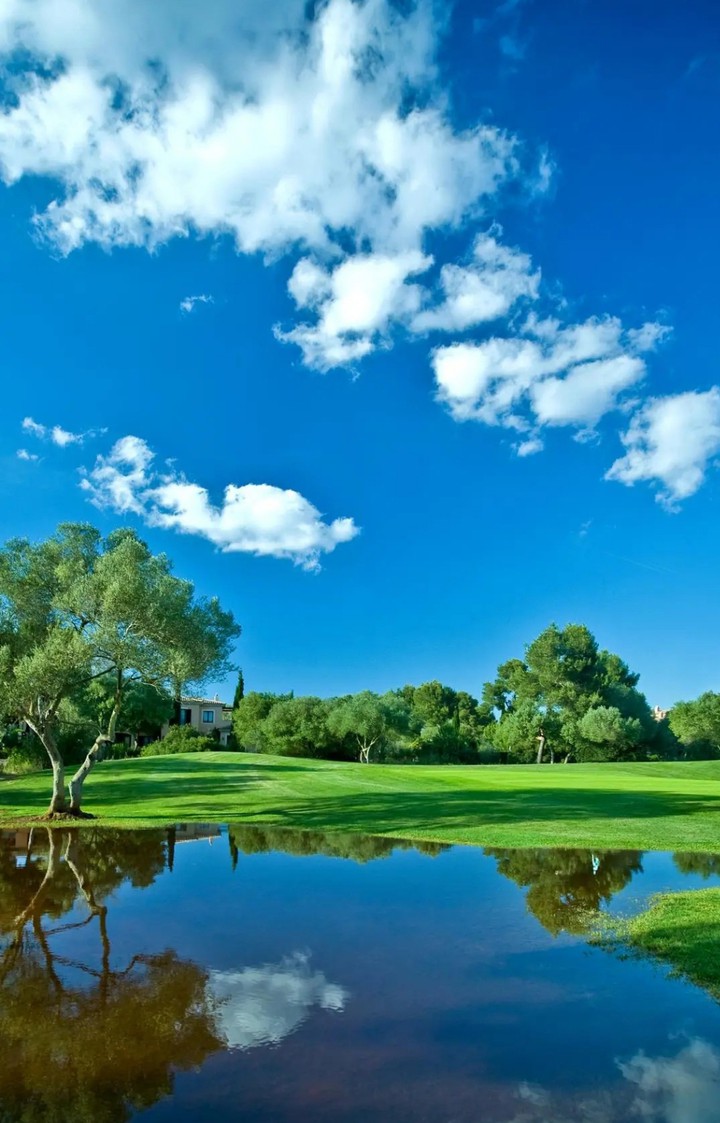 Landscape
