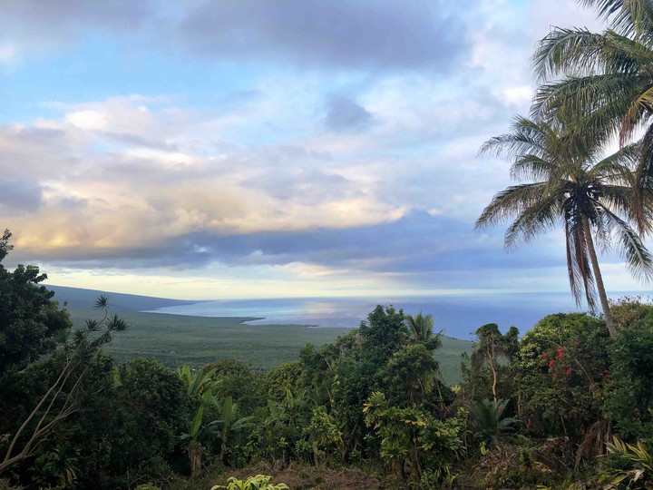view