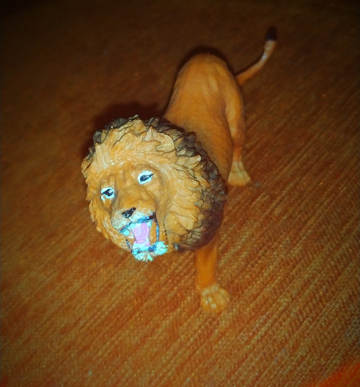 toy lion
