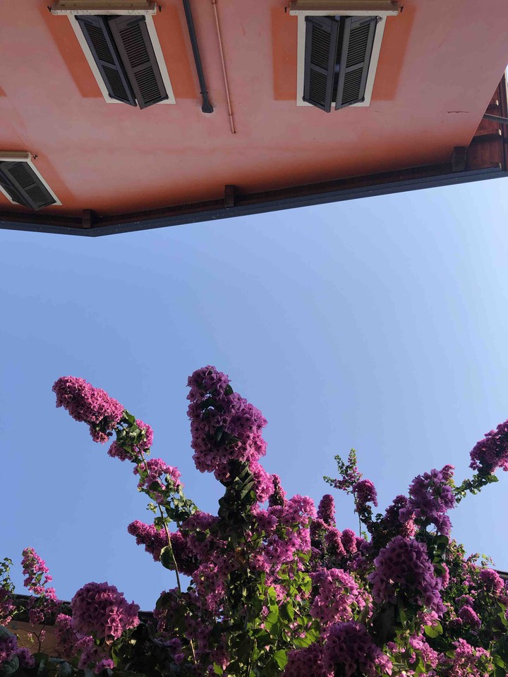 upside down