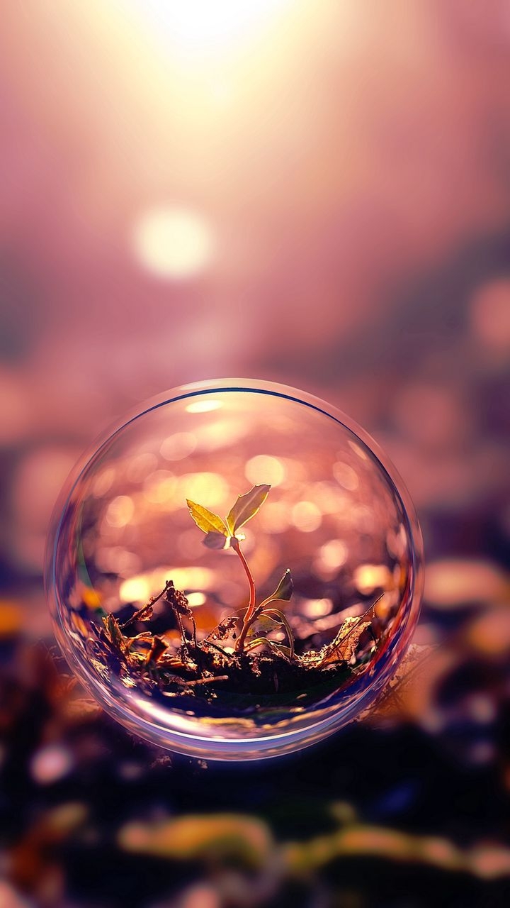 Life in a Bubble..