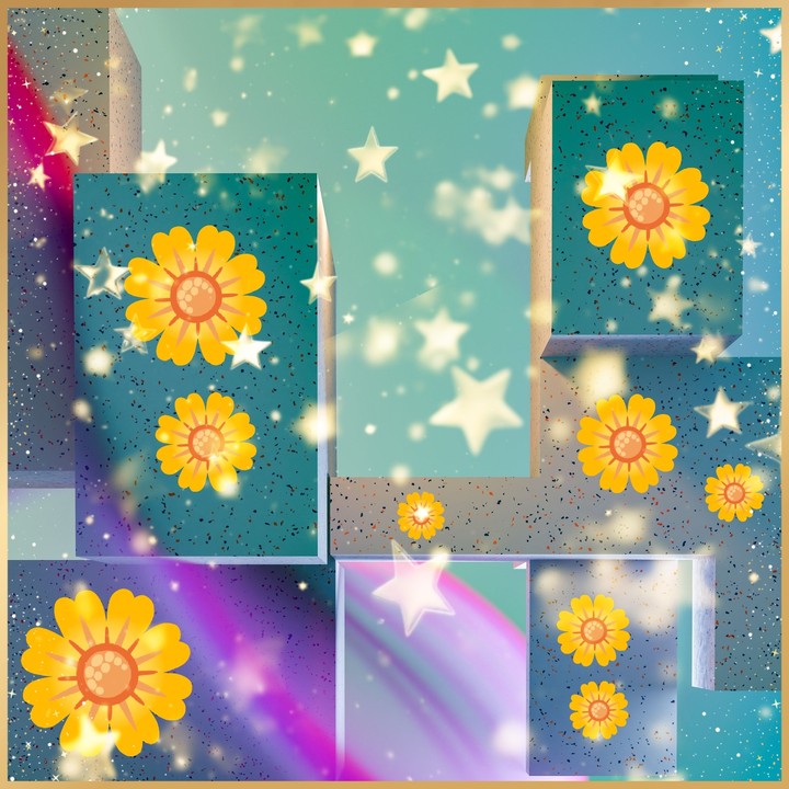 Fiori e stelle