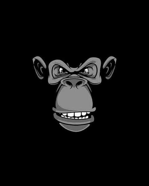 Crazy monkey