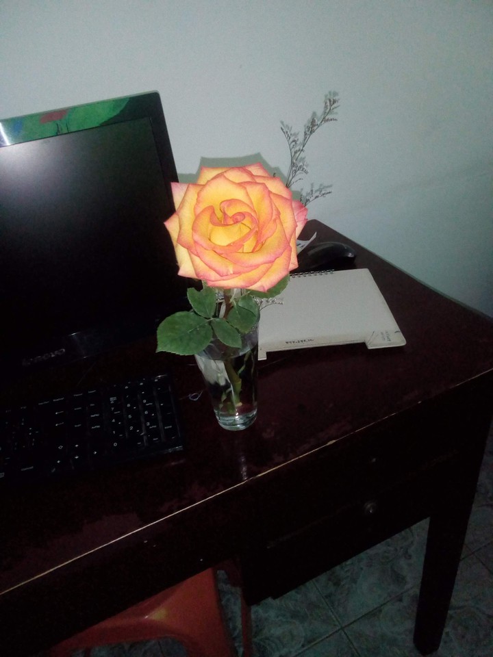 amor