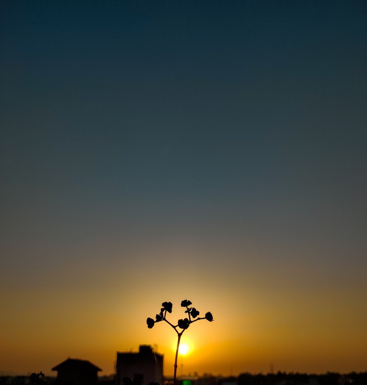 SUNSET ?❤️