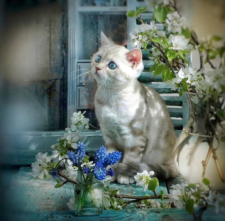 #cute