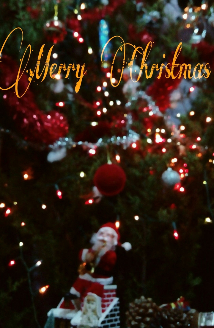 Merry christmas