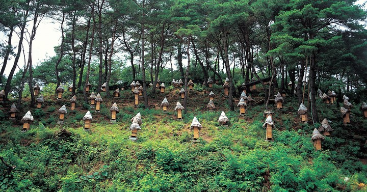 산업