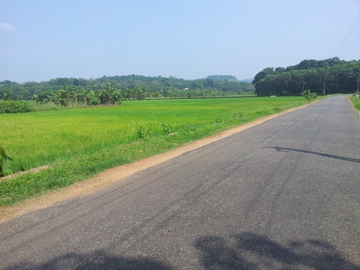Beauty of Nature