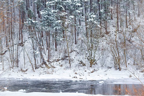 tapety ice, twig