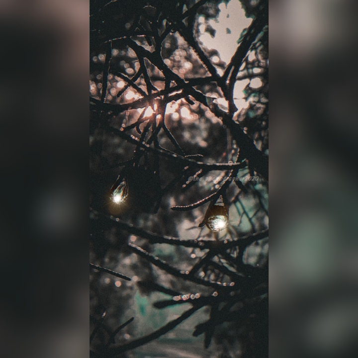 drops