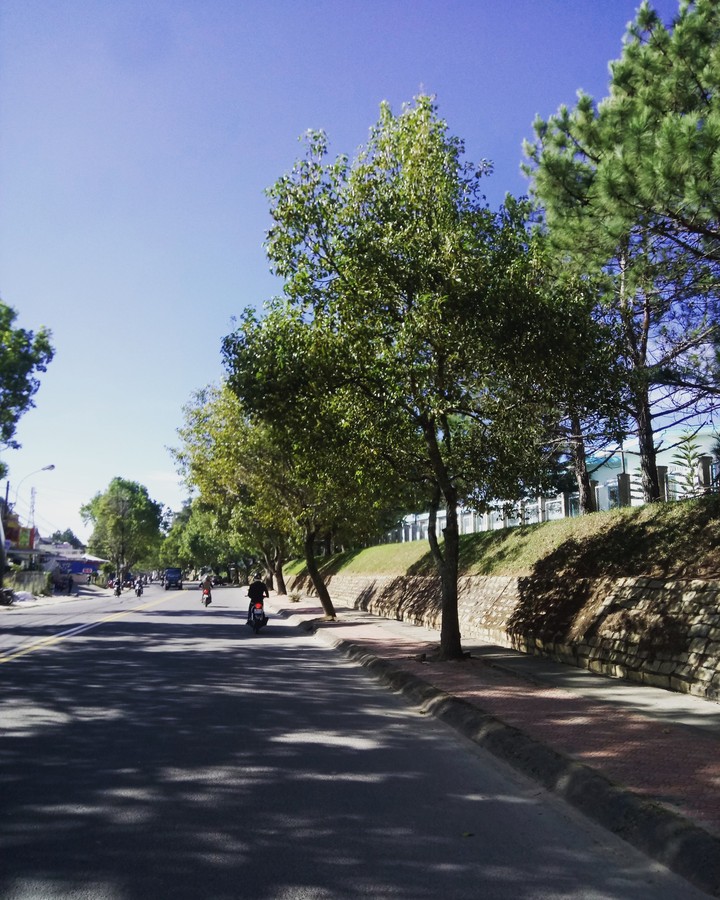 the street