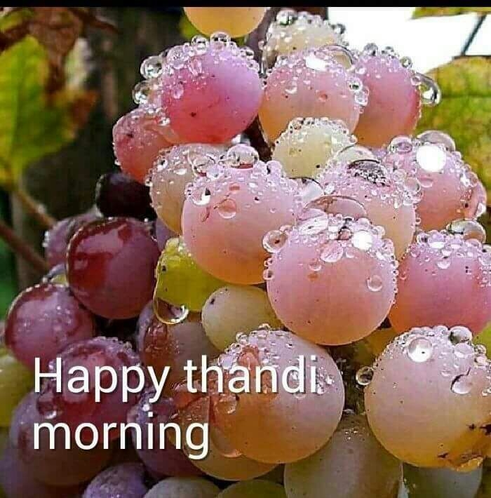 Good mornig