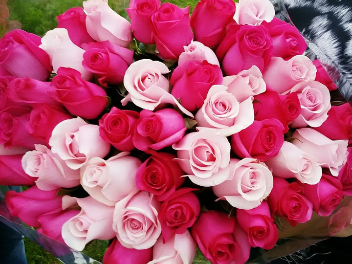 Love and roses❤