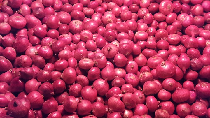 onion_market_stock