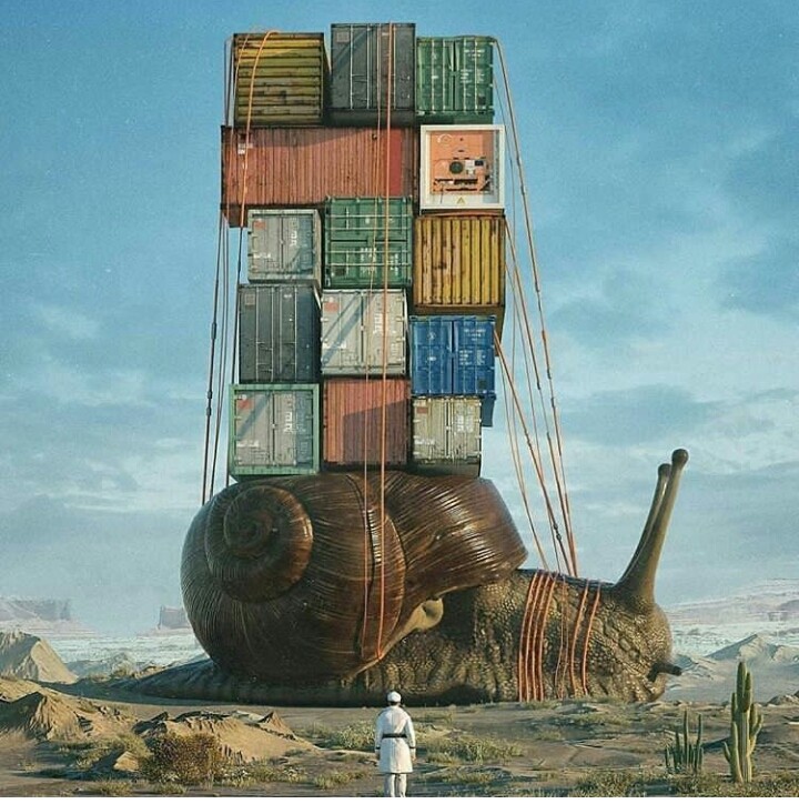 snail and boxes