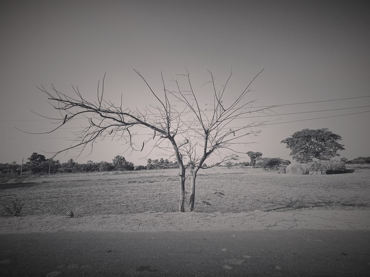 burden