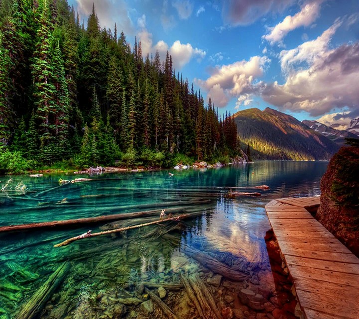 Nature