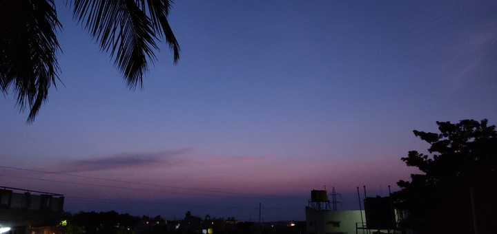 evening bliss