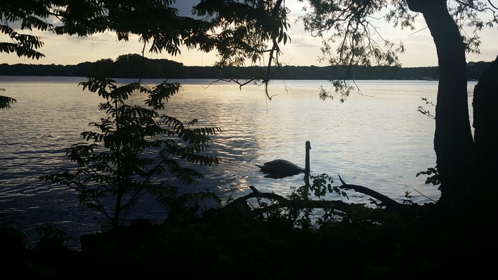 coucher de soleil