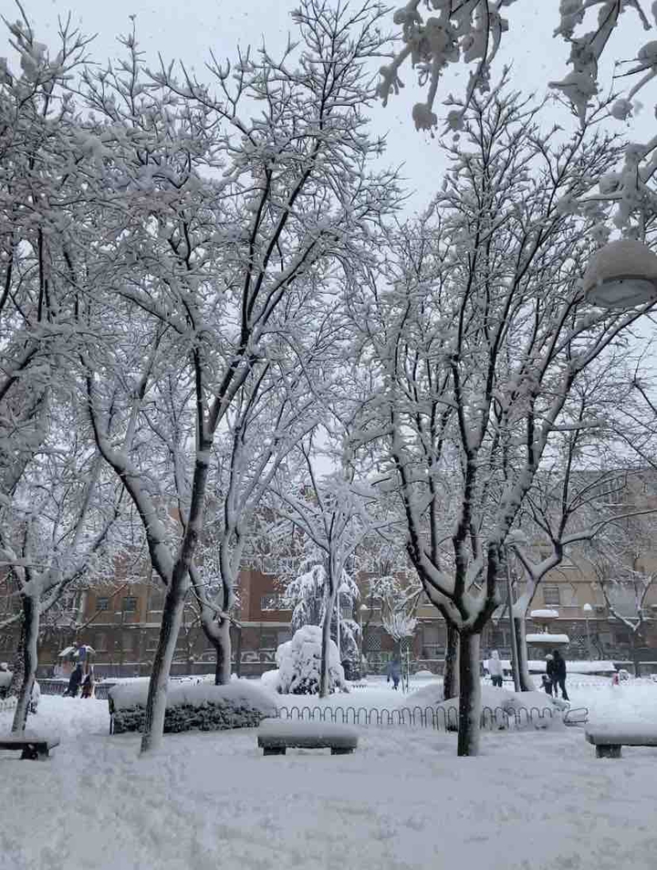 Nieve - Madrid