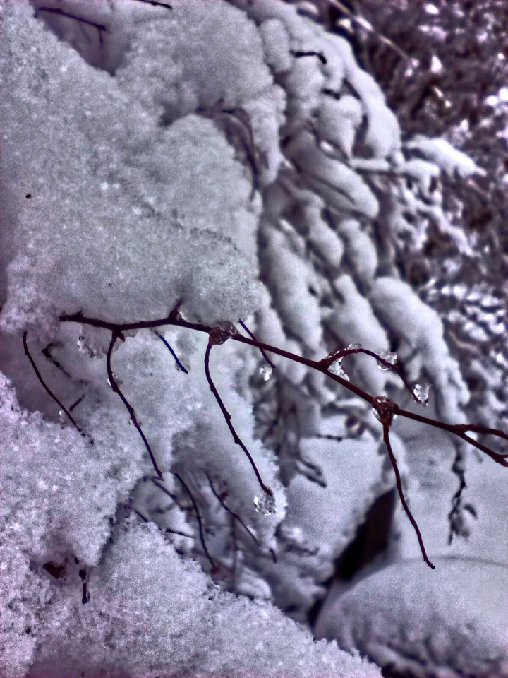 snow