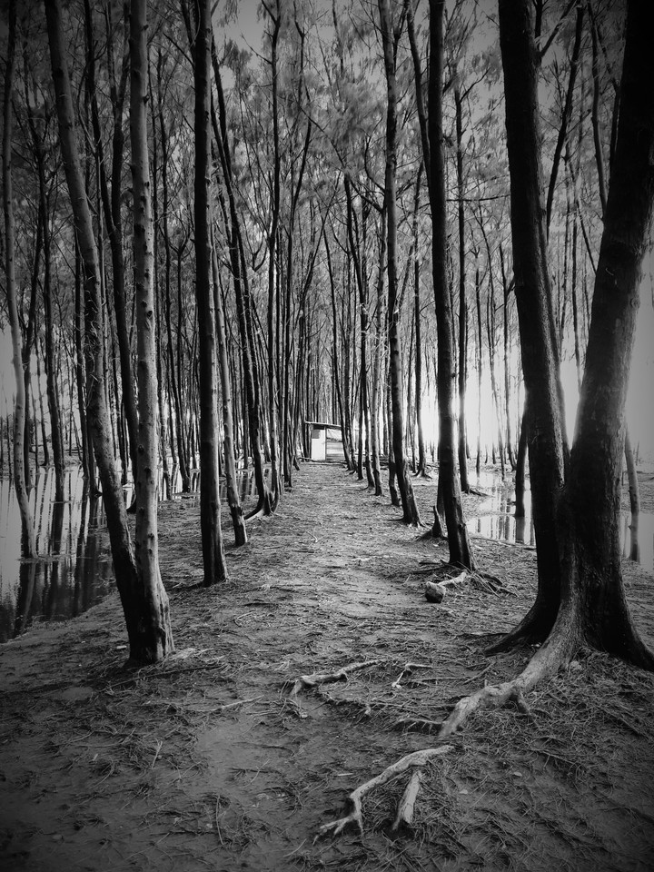 path or route