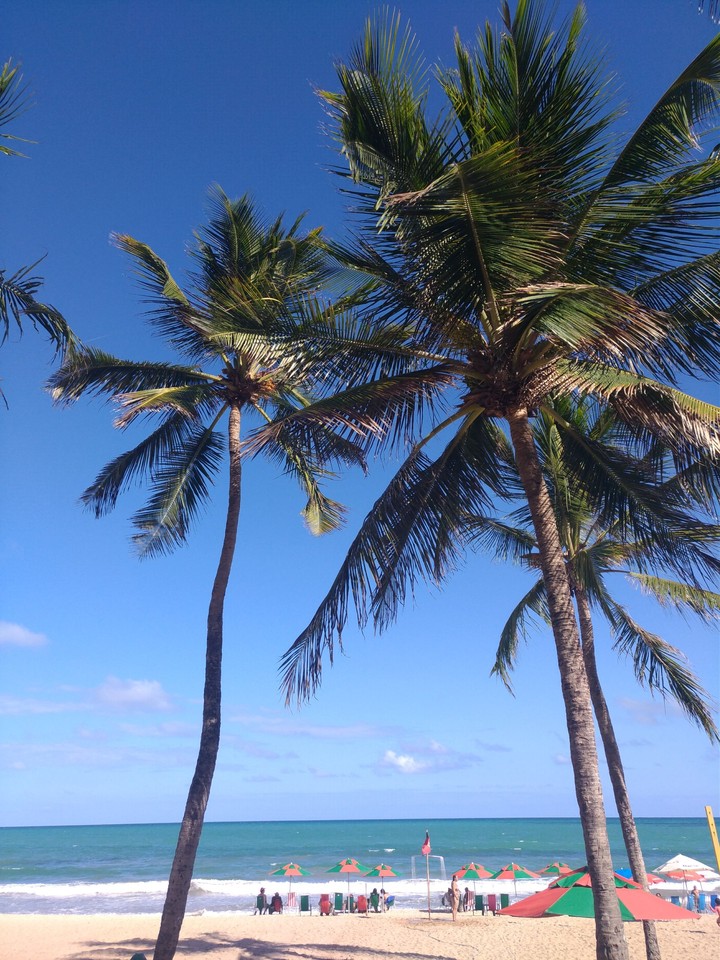 Praia de boa viagem Recife