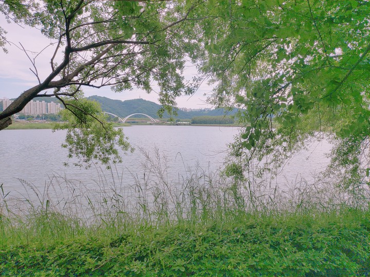 river
