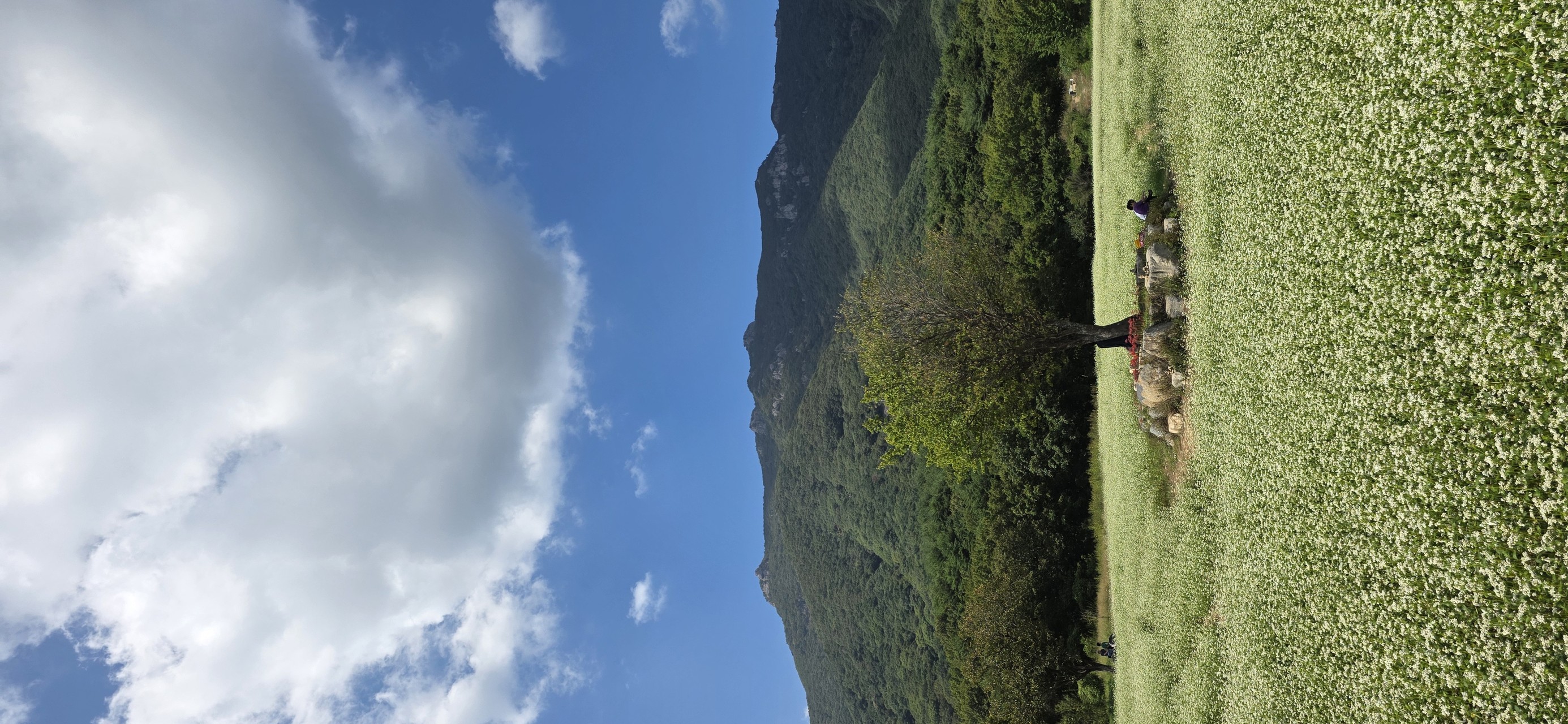 Mountainous_landforms, Green, Mountain