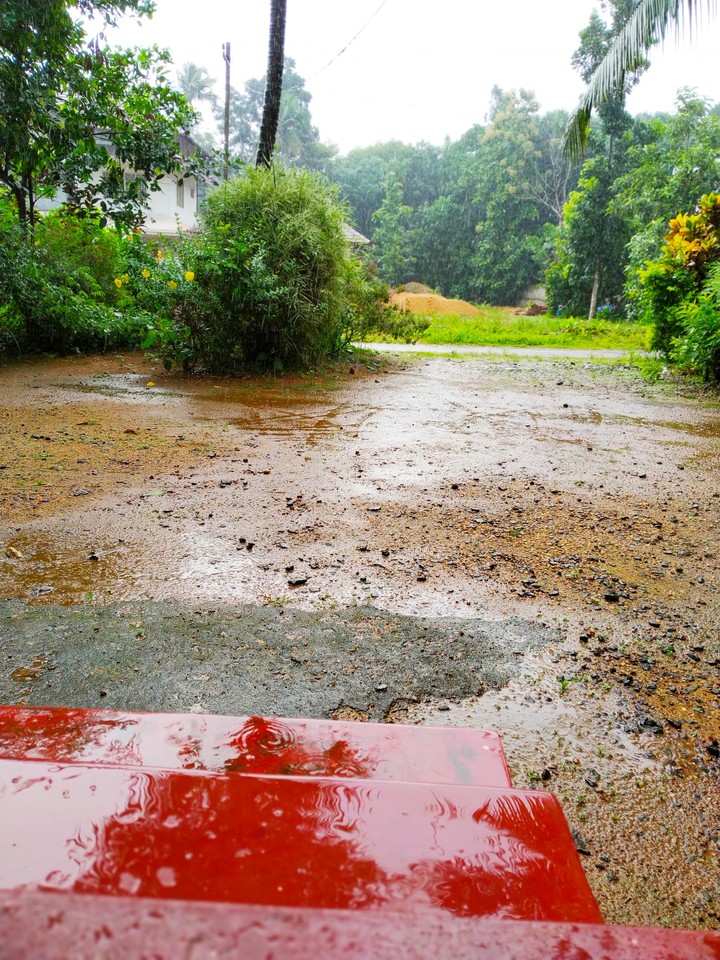 Rain nature