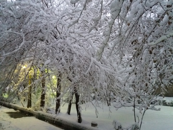 snow