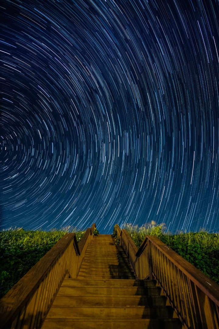 stars