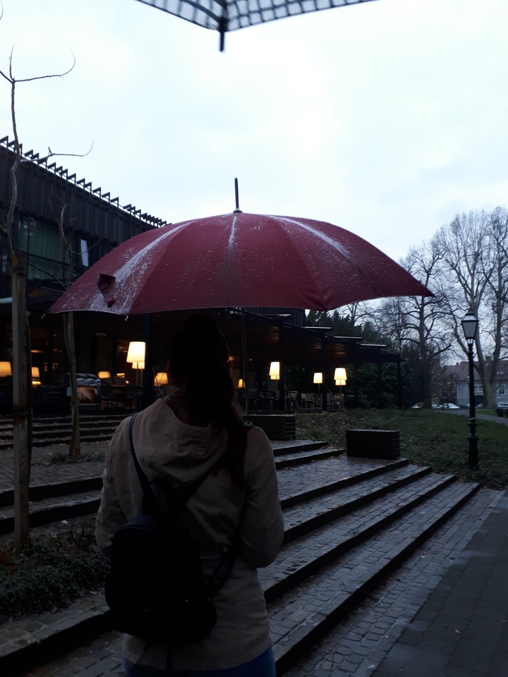 Rainy day 