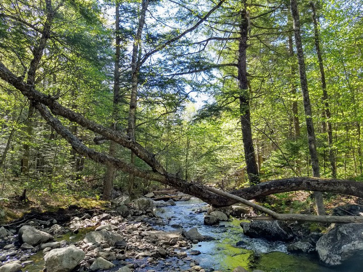 A morning hike, welcome the sunshine.