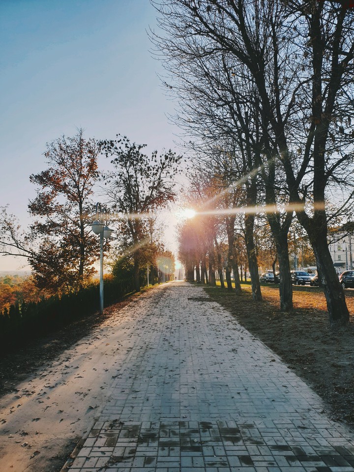 walk
