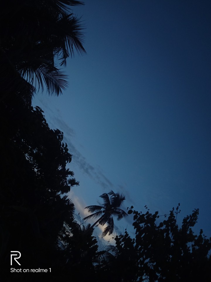 Morning time