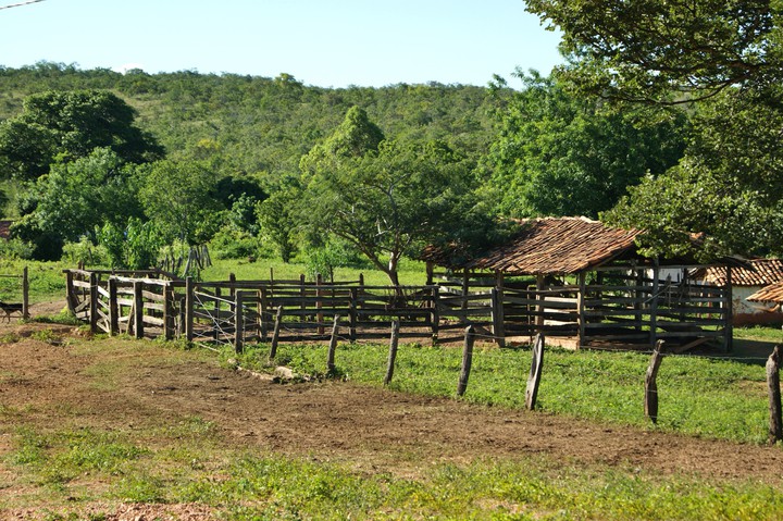 Curral