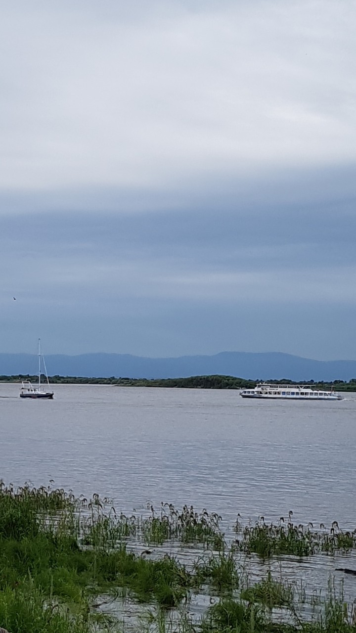 берег Амура