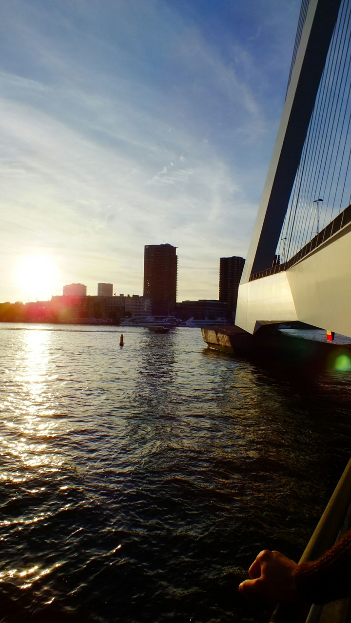 Rotterdam