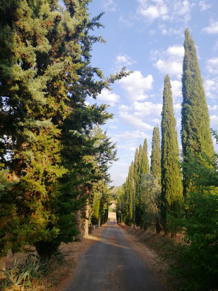 toscana