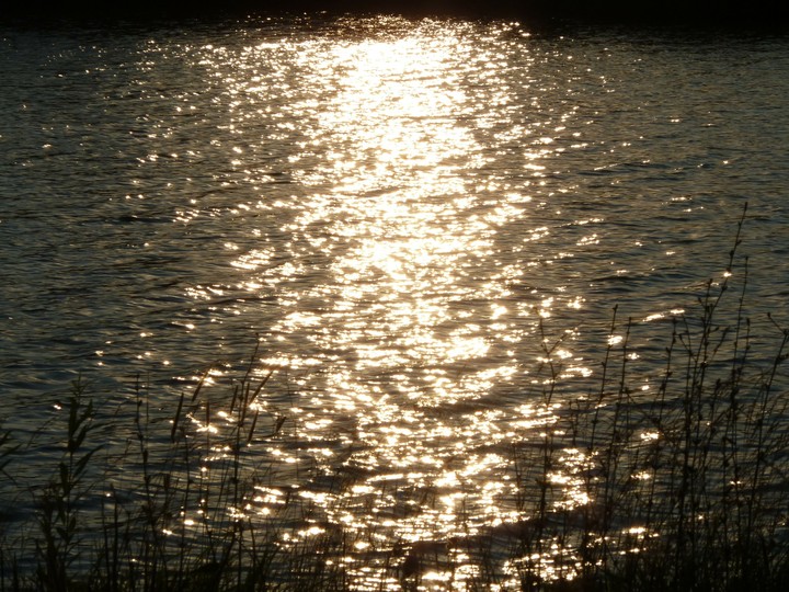 Lake dotted with gold
