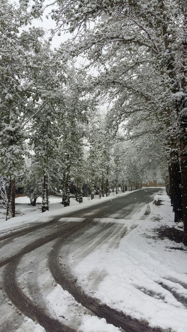 is this spring time??!