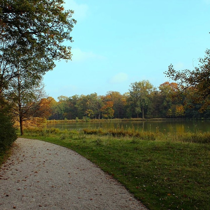 Park