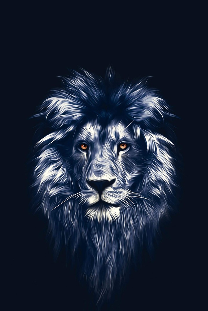 king ?