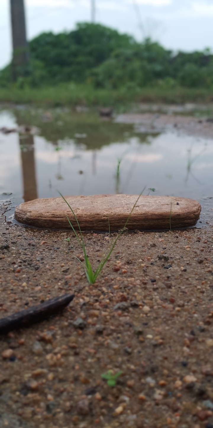 beauty of rain